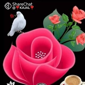 Meet your Posher, Jyoti